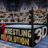 摔跤革命3D 1.601安卓版