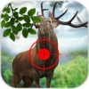 野生鹿狩猎 1.1安卓版