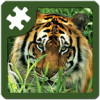 野生动物益智拼图 7.2安卓版