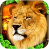 狮子模拟器 1.2安卓版