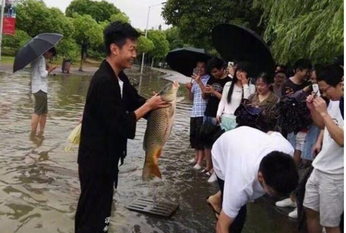 南京全城暴雨开启倒水看海模式 市民开启摸鱼捉虾模式