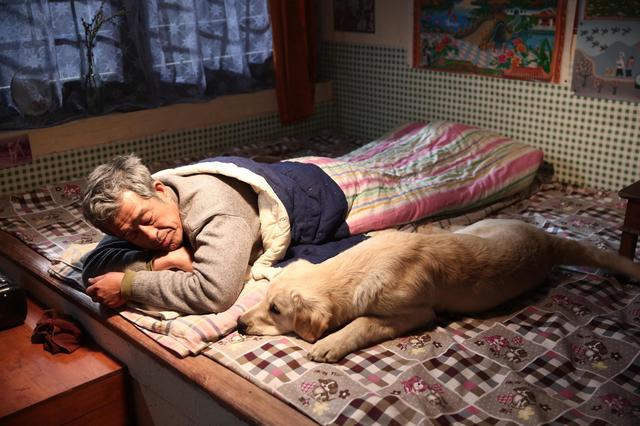 《忠爱无言》上映在即 倡导爱犬护犬人人有责