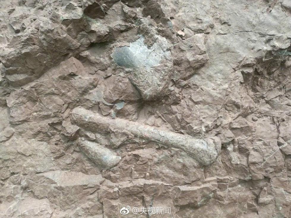 重庆发现世界级恐龙化石群 “恐龙化石墙”长150米
