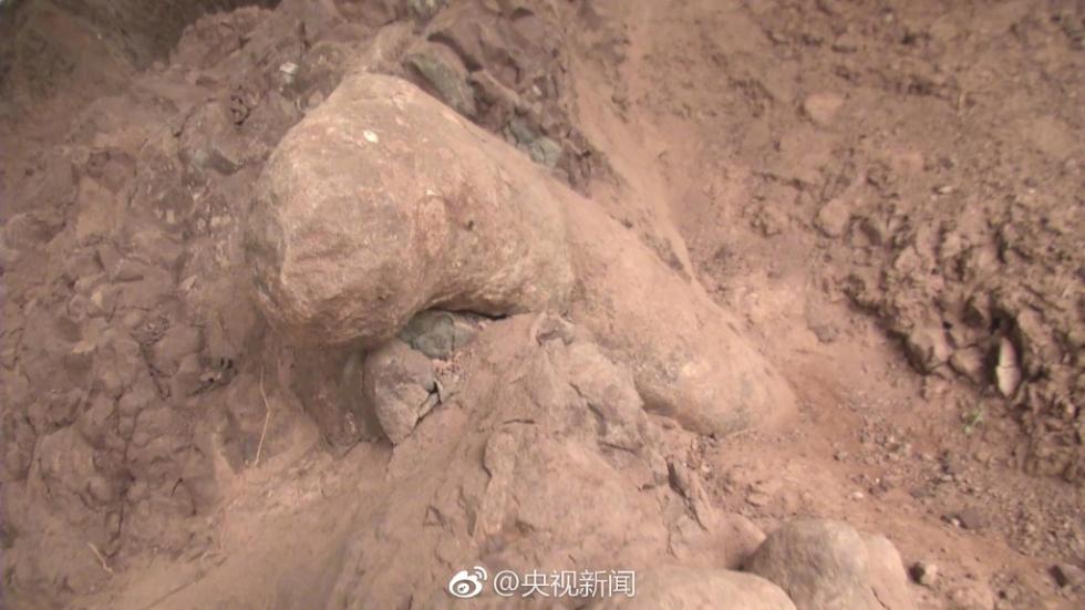 重庆发现世界级恐龙化石群 “恐龙化石墙”长150米
