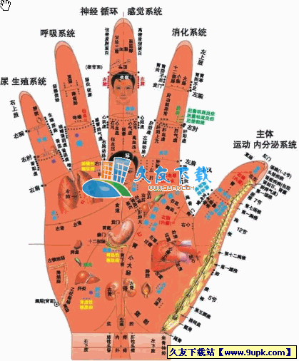 手相命理健康全解pdf格式中文版[解看你的手相]截图（1）