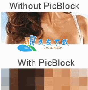 【不健康图片屏蔽工具】Picblock下载V4.2.3英文版