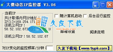 大傻动态IP监控器V3.06中文绿色版[动态IP监控工具]