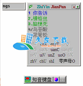 知音中文键盘输入法1.0绿色版下载,小键盘输入法截图（1）