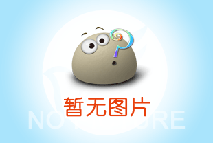 Psmplay 5.3中文免安装版截图（1）
