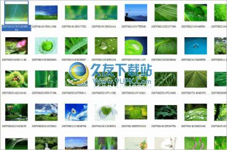 环保绿色保护眼睛的桌面壁纸 20120810整理版截图（1）