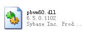 pbvm60.dll文件 官方版截图（1）