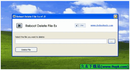 Reboot Delete File Ex 1.0免安装版[文件强力删除器]