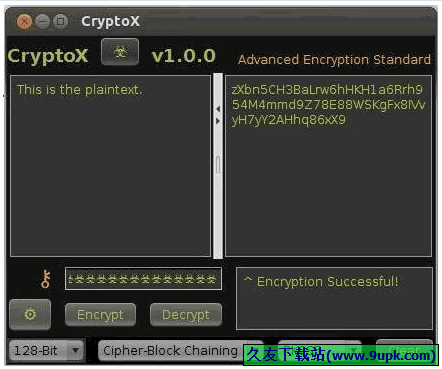 CryptoX 1.0.0免安装版[邮件和文本加密器]截图（1）