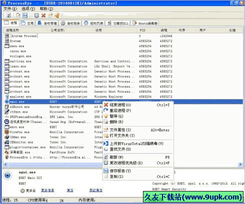 ProcessEye 1.0中文版[系统进程管理器]截图（1）