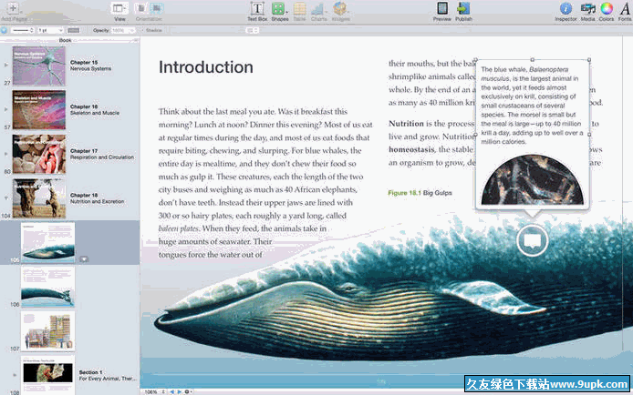 iBooks Author Mac版[苹果电子书制作软件] v2.2 官方版