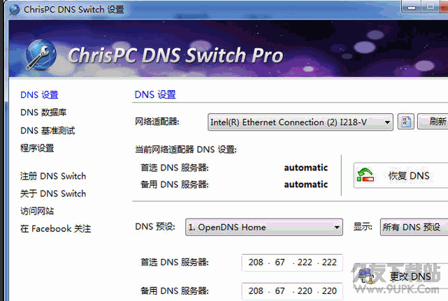 ChrisPC DNS Switch 3.0 绿色汉化版截图（1）