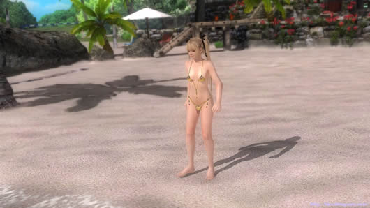 死或生5最后一战[DLC版] 玛丽螺丝宝石泳装MOD截图（1）