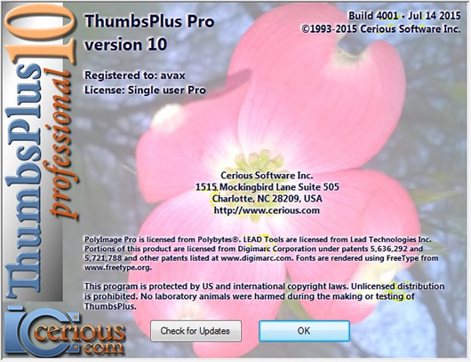 ThumbsPlus Pro 图像管理软件 v10.1 Build 4004 免费版截图（1）