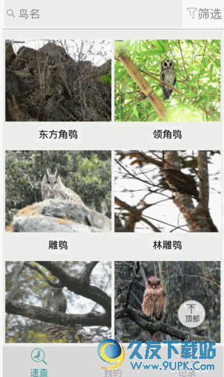 中国野鸟速查app v1.3 Android版截图（1）