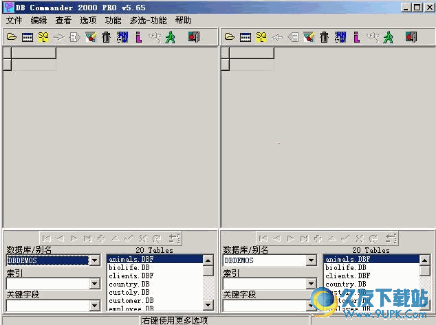DB Commander 2000中文版 v5.65 官方安装版[DBC2000汉化版]