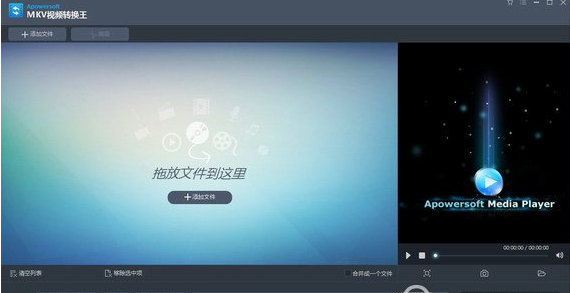 apowersoft视频转换王 4.6.1正式中文版截图（1）