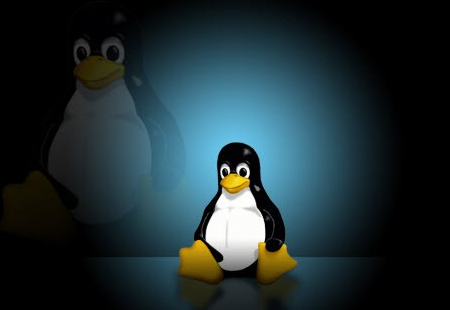 linux kernel 4.9.9正式安装版截图（1）