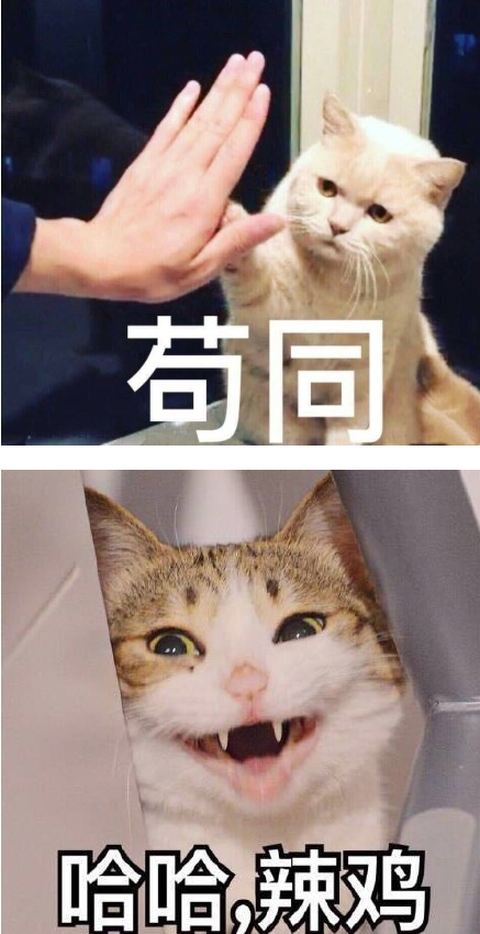 猫星人表情包 1.1高清版截图（1）