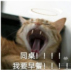 猫喊同桌表情包 1.0免费版截图（1）