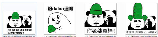 绿帽子表情包+16 1.0绿色版截图（1）