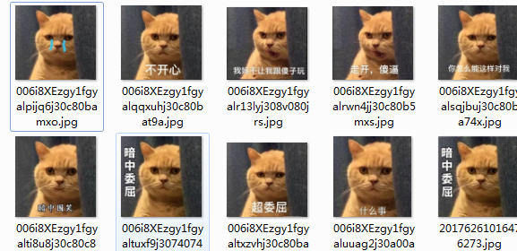 暗中委屈橘猫表情包 1.0高清版截图（1）