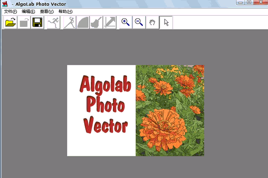 AlgoLabPhotoVector 1.98.81绿色版截图（1）