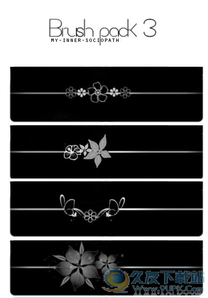 花朵、蝴蝶分割线photoshop笔刷插件 1.0绿色版截图（1）