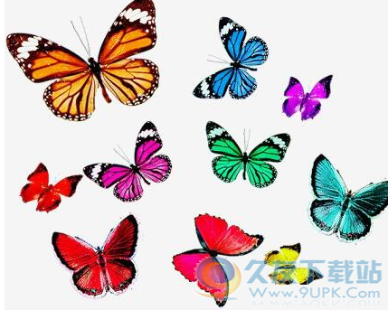漂亮的七彩蝴蝶装饰photoshop笔刷插件 1.0绿色版截图（1）