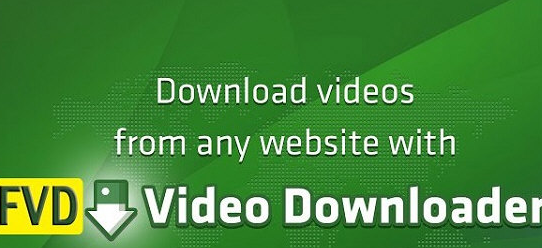 Chrome fvd downloader 6.5.2官方版截图（1）