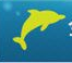金海豚宝宝起名软件