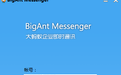 bigant messenger 4.1.30官方最新版