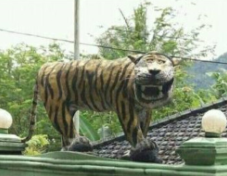 印尼笑面虎表情包 1.0全套版