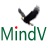 MindV 1.3.3.6简体中文绿色版