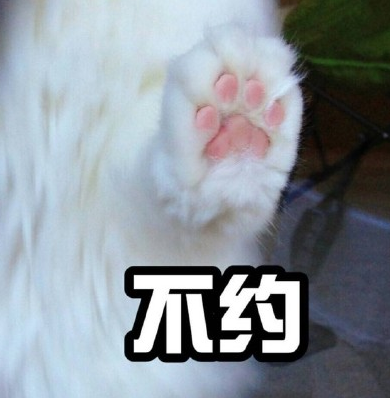 萌猫咪表情 1.1高清版