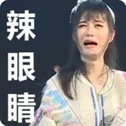 SNH48表情包 无水印版