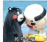 安慰人的熊本熊表情包 1.0免费版